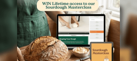 You Knead Sourdough
