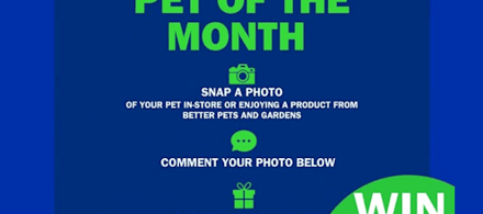 Better Pets and Gardens