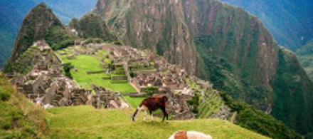 Bunnik Tours