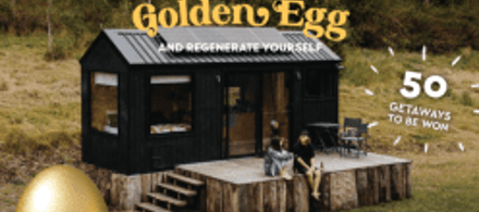 Honest Eggs Co.